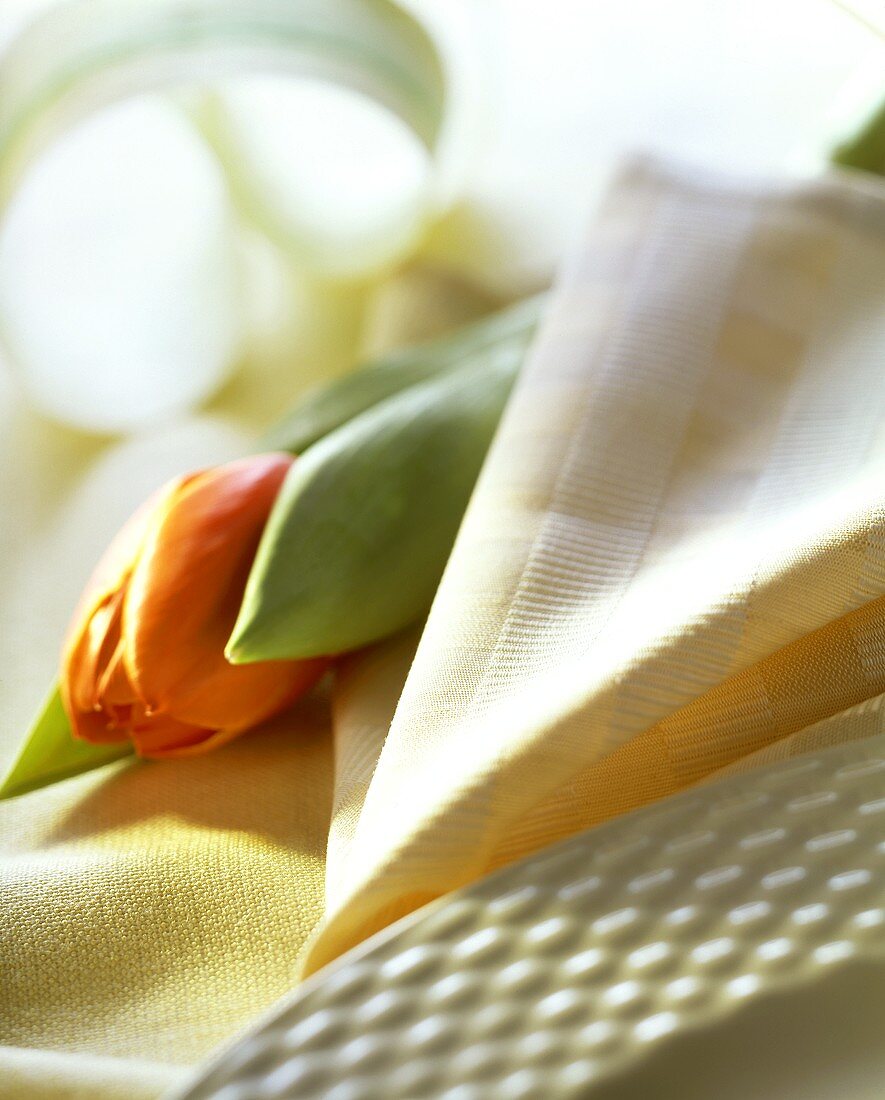 Beige Stoffserviette und Tulpe neben weißem Teller