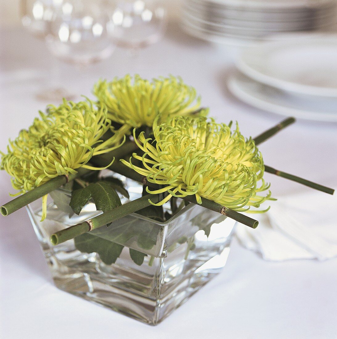 Grüne Chrysanthemen im Wasserglas als Tischdeko
