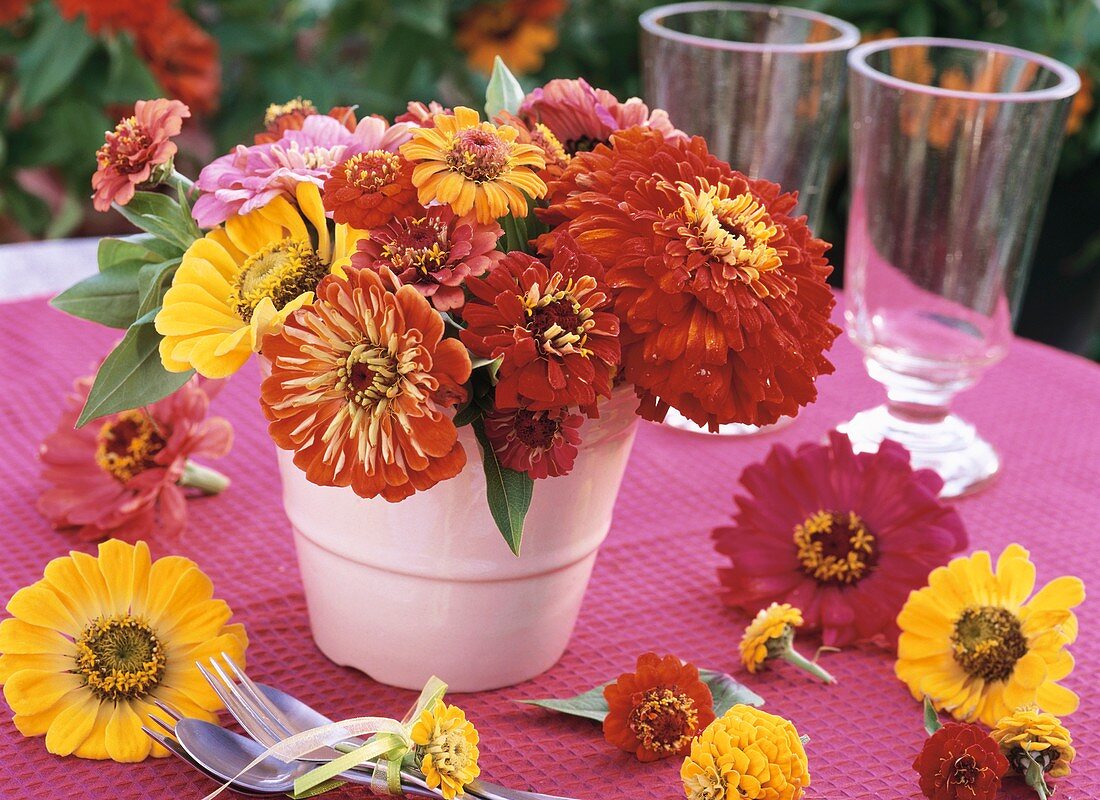 Kleiner Blumenstrauss aus Zinnien in weisser Vase