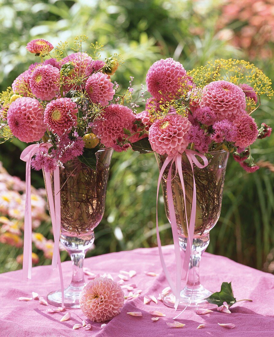 Sommerliche Sträusse aus rosa Dahlien und Fenchel in Vasen
