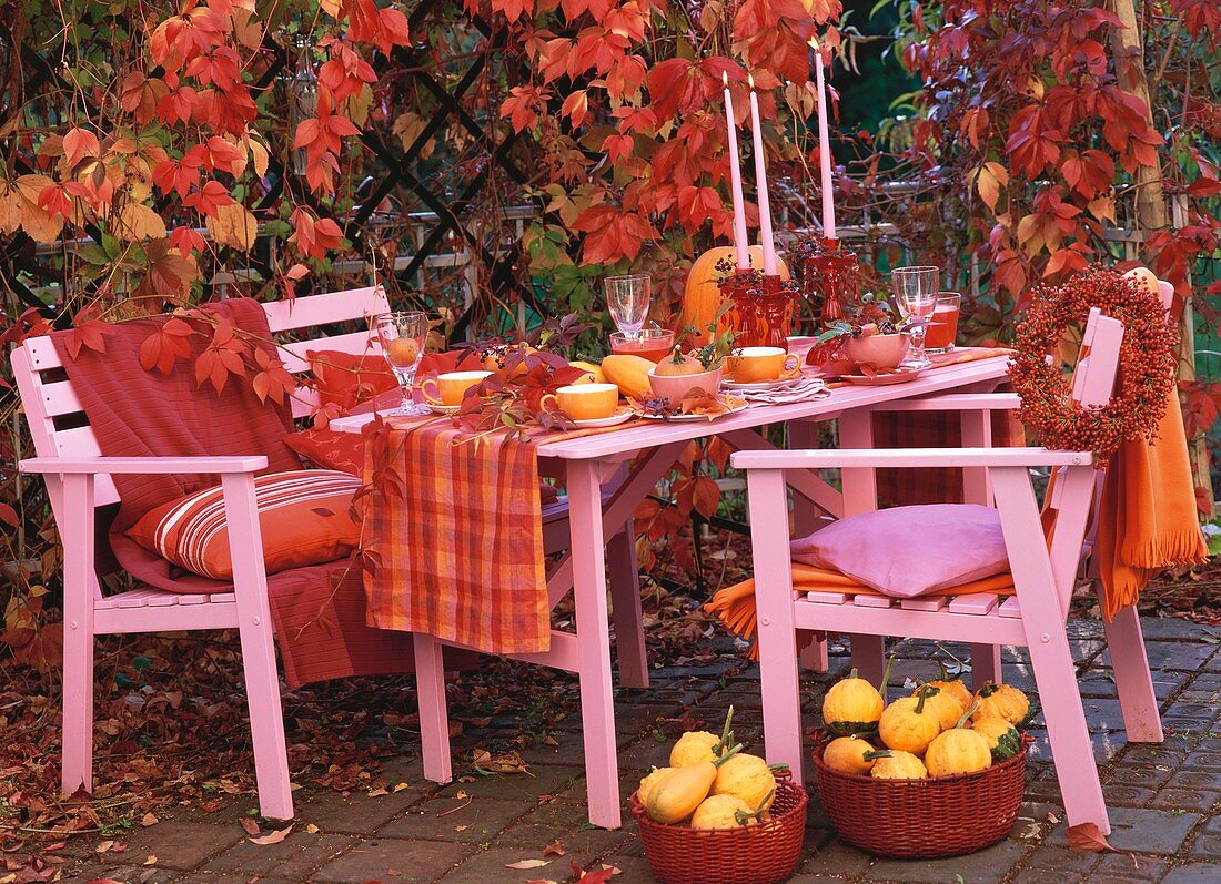 Table decorated with pumpkins and rose hips (autumnal)