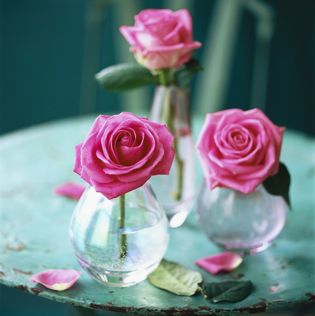 Three pink roses in vases on a garden table
