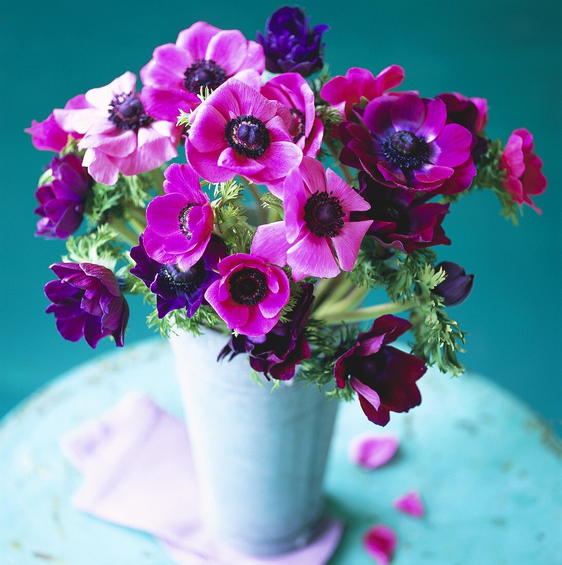 Violette Anemonen in Vase