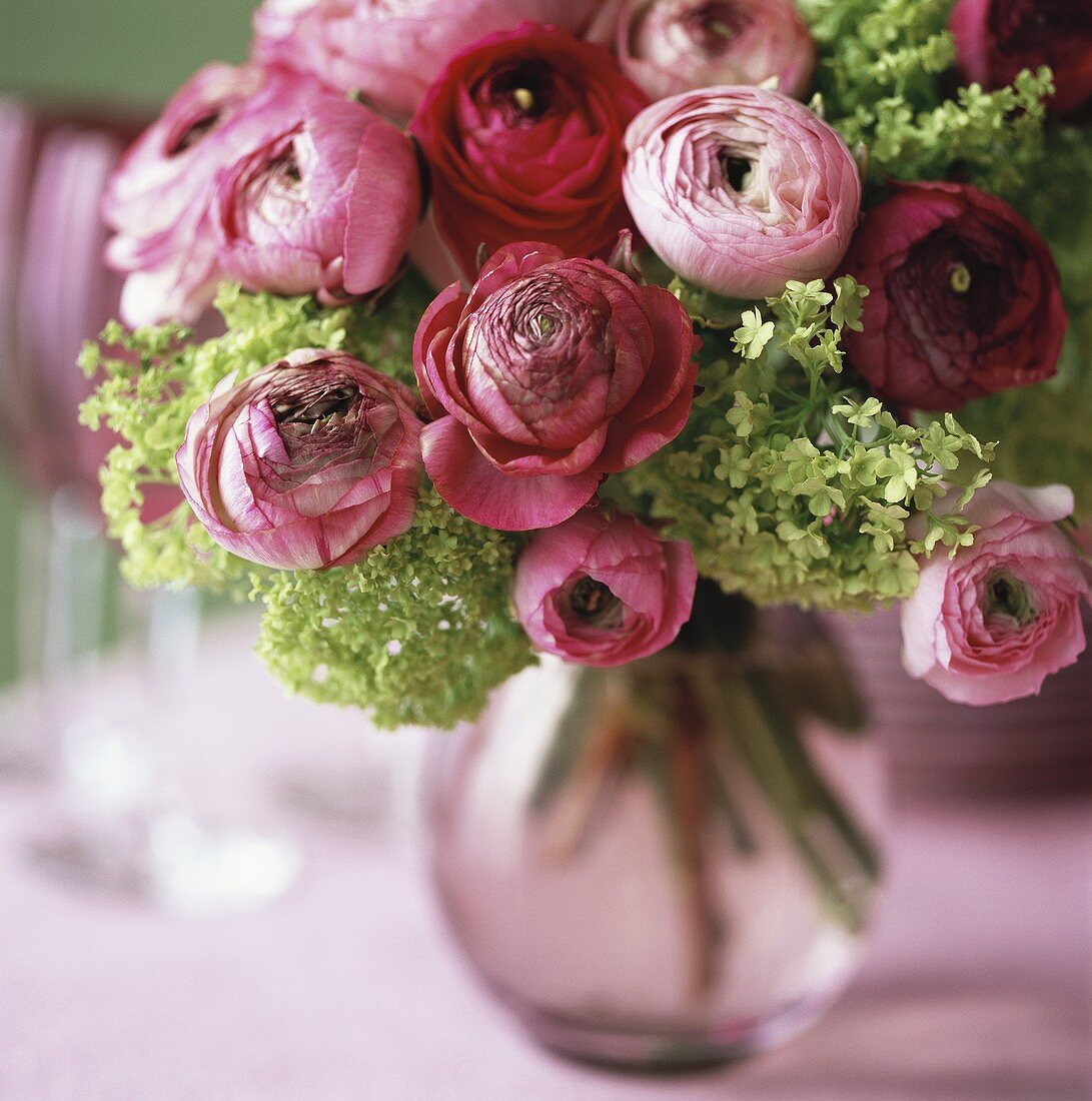 Vase of pink ranunculuses and green hydrangea