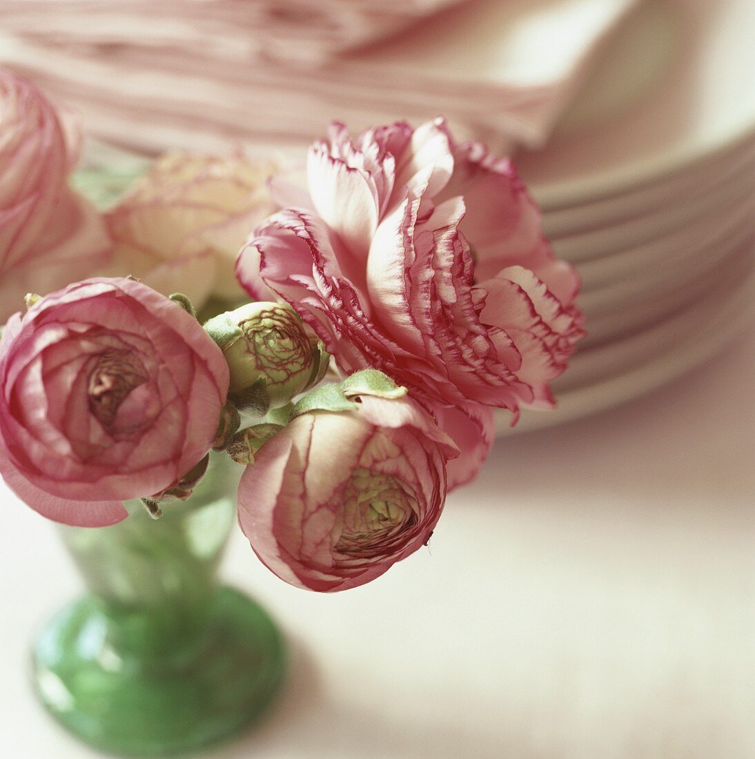 Rosa Ranunkeln in kleiner Vase vor Tellerstapel