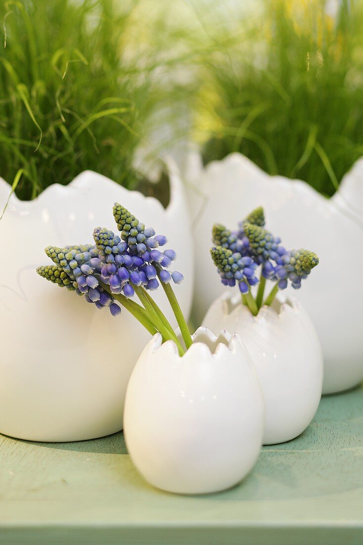 Easter decoration: grape hyacinths in china eggs