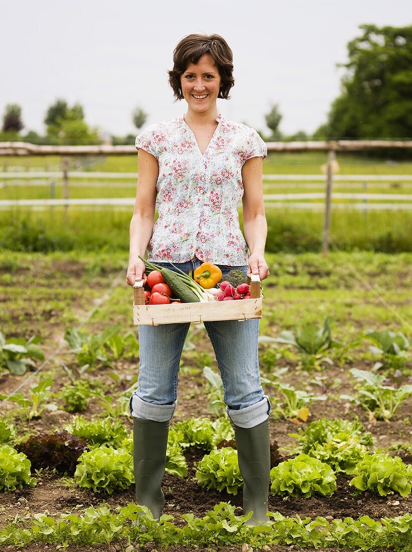 Frau hält Steige mit frisch geerntetem Gemüse im Garten
