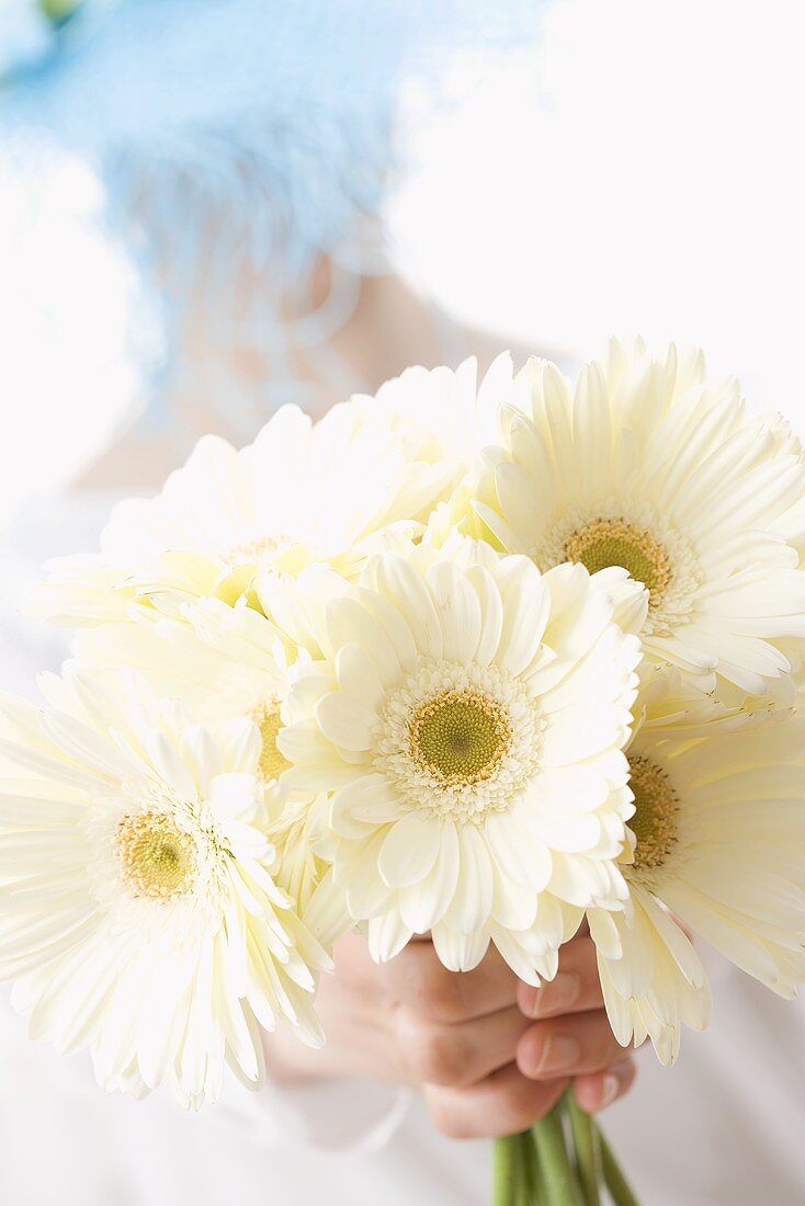 Woman in hat holding white gerberas