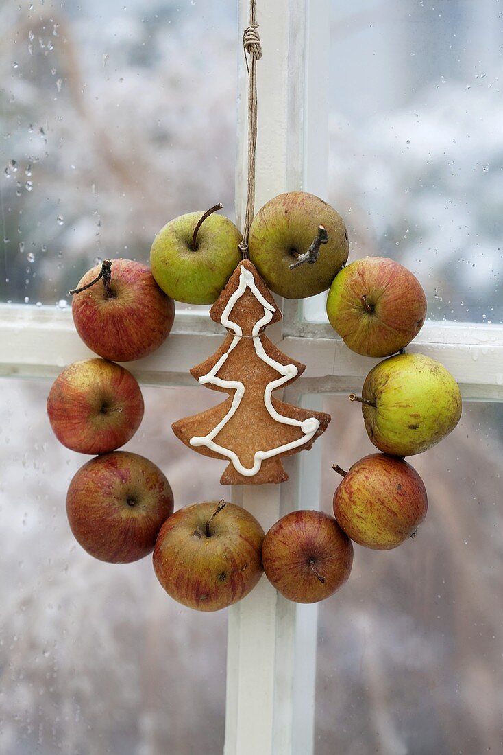 Apfelkranz mit Weihnachtsplätzchen am Fenster