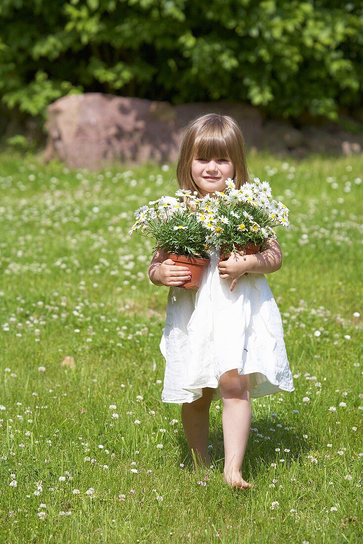 A little girl holding two flowerpots of daises