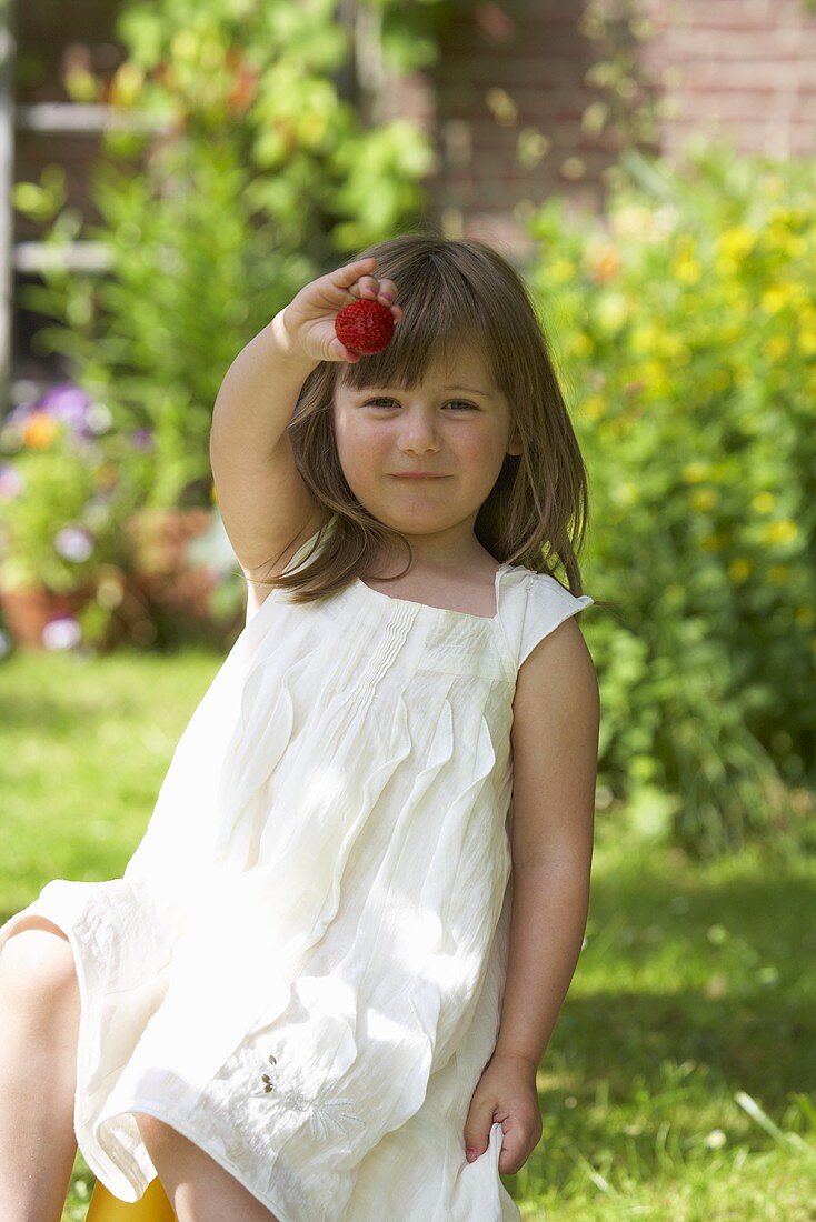 A little girl in a garden holding up a strawberry