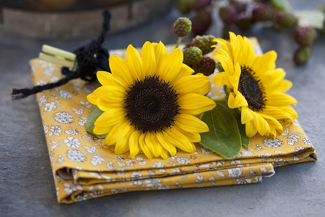 Sonnenblumen und Brombeerzweige auf Tuch