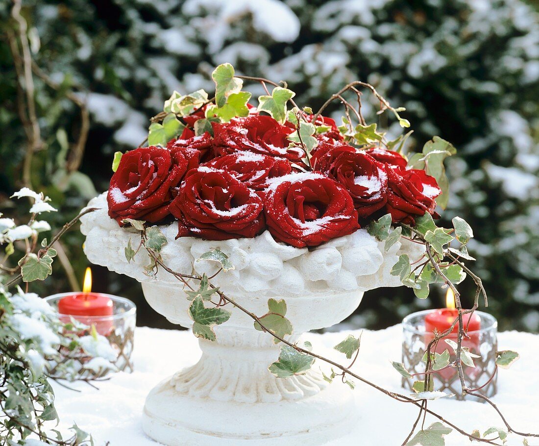 Stuckschale mit roten Rosenblüten und Efeu