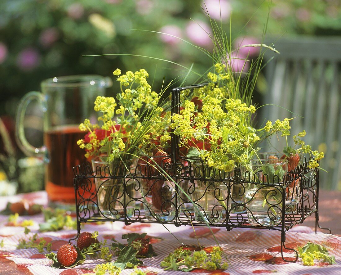 Sommertisch mit frischen Erdbeeren und Frauenmantel