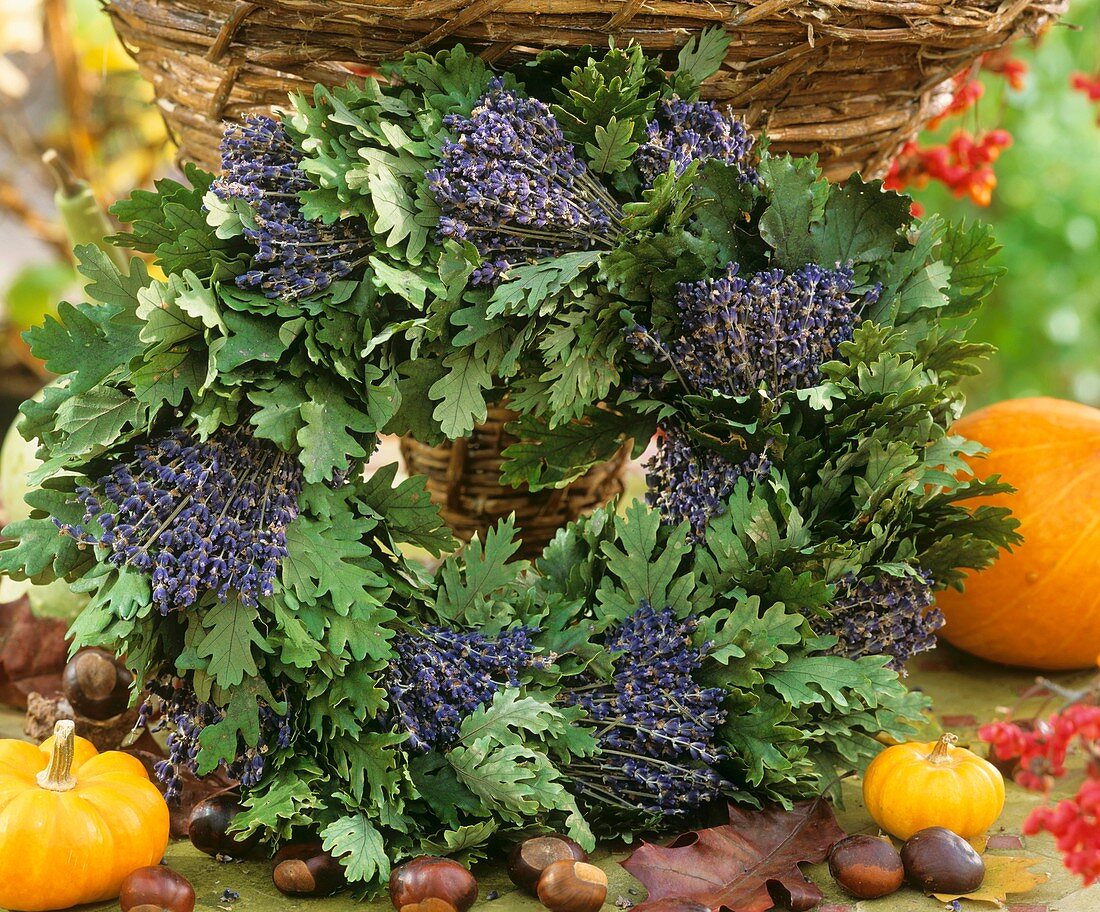 Wreath made from bunches of lavender and oak leaves