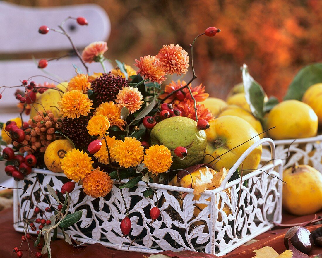 Metal tray with chrysanthemums, quinces, rose hips, Skimmia
