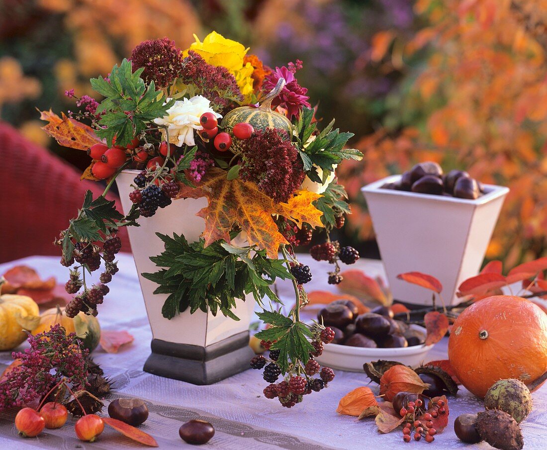 Autumn arrangement: maple leaves, rose hips & ornamental gourds