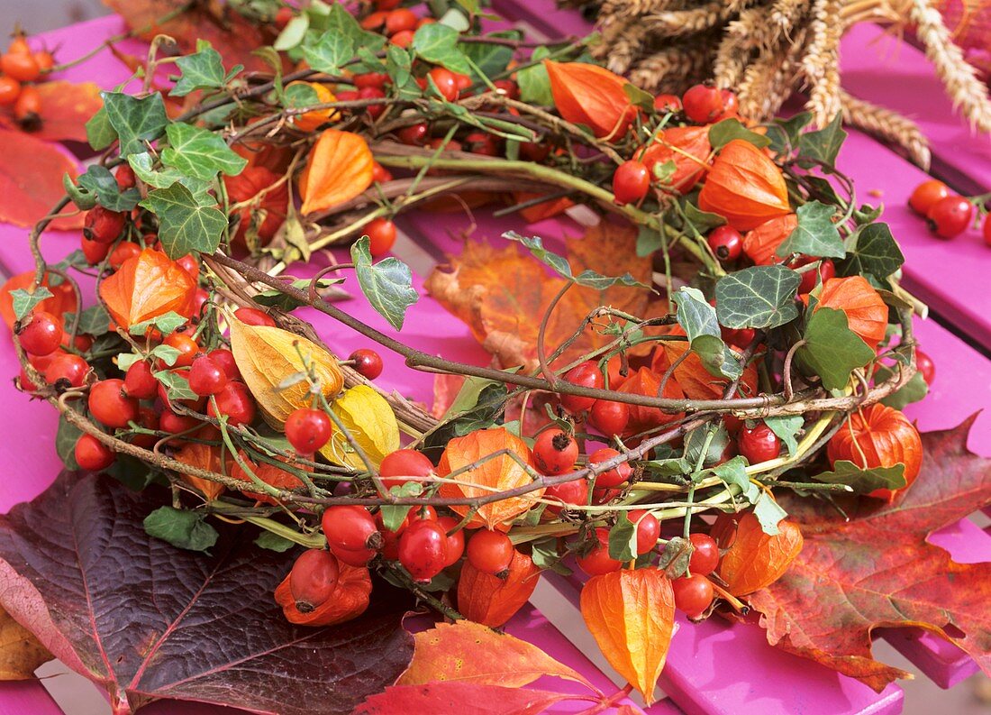 Wreath of ivy, rose hips and Chinese lanterns