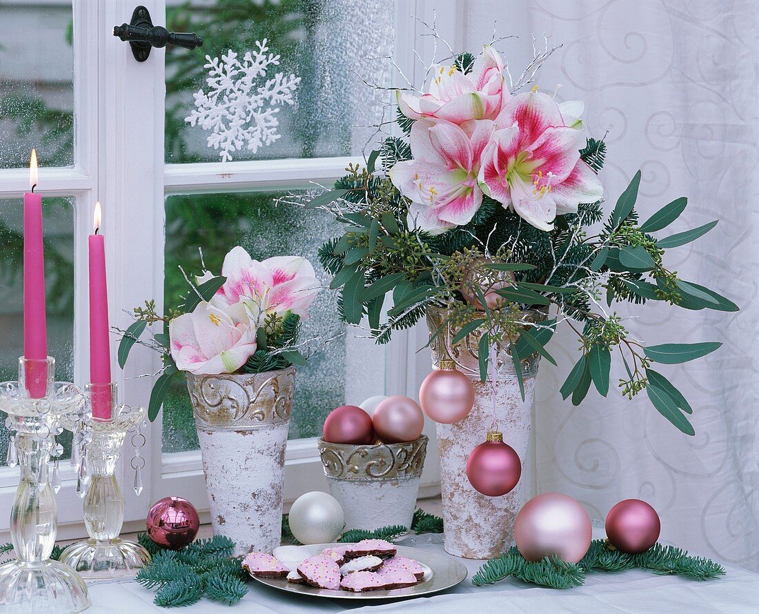 Amaryllises in vases with Christmas decorations