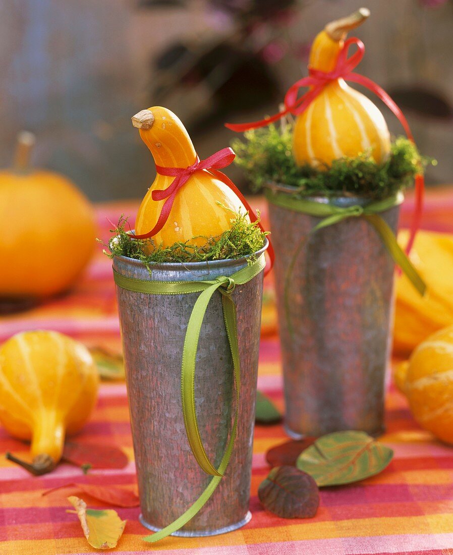 Ornamental gourds in small metal vases