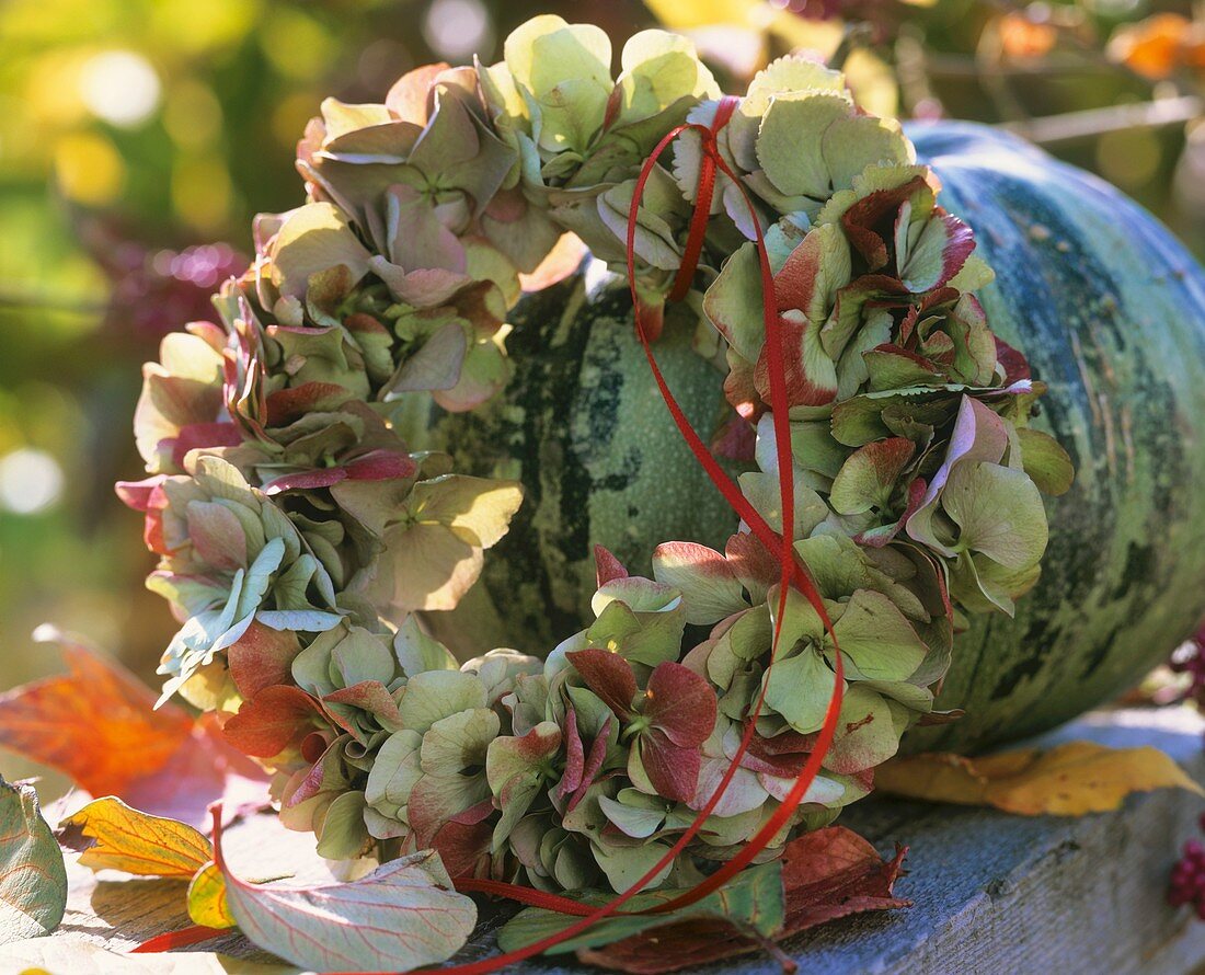 Kranz aus getrockneten Hortensienblüten