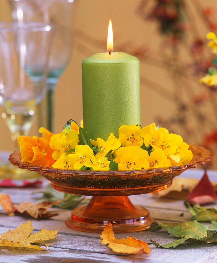 Green candle with wreath of horned violets