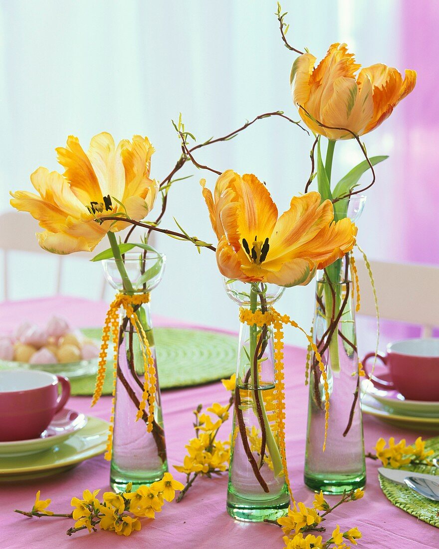 Parrot tulips in hyacinth glasses