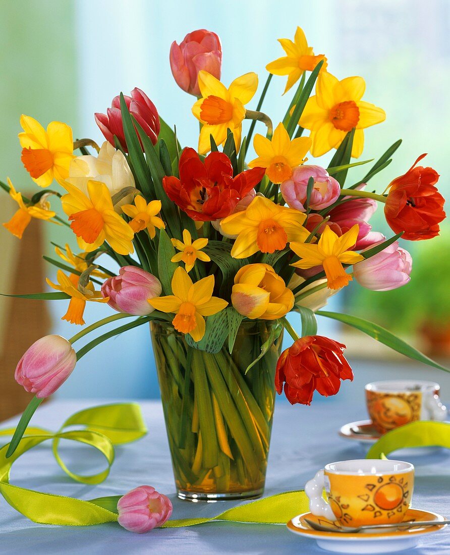 Tulips and narcissi in glass vase