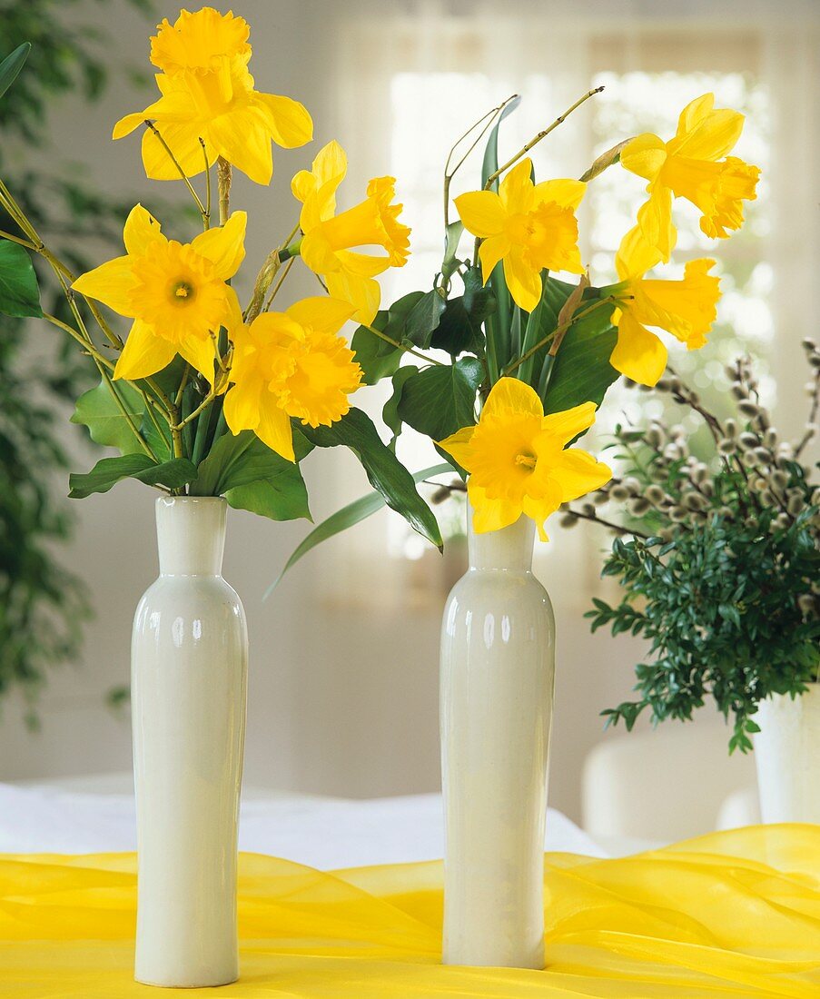 Daffodils in white vases