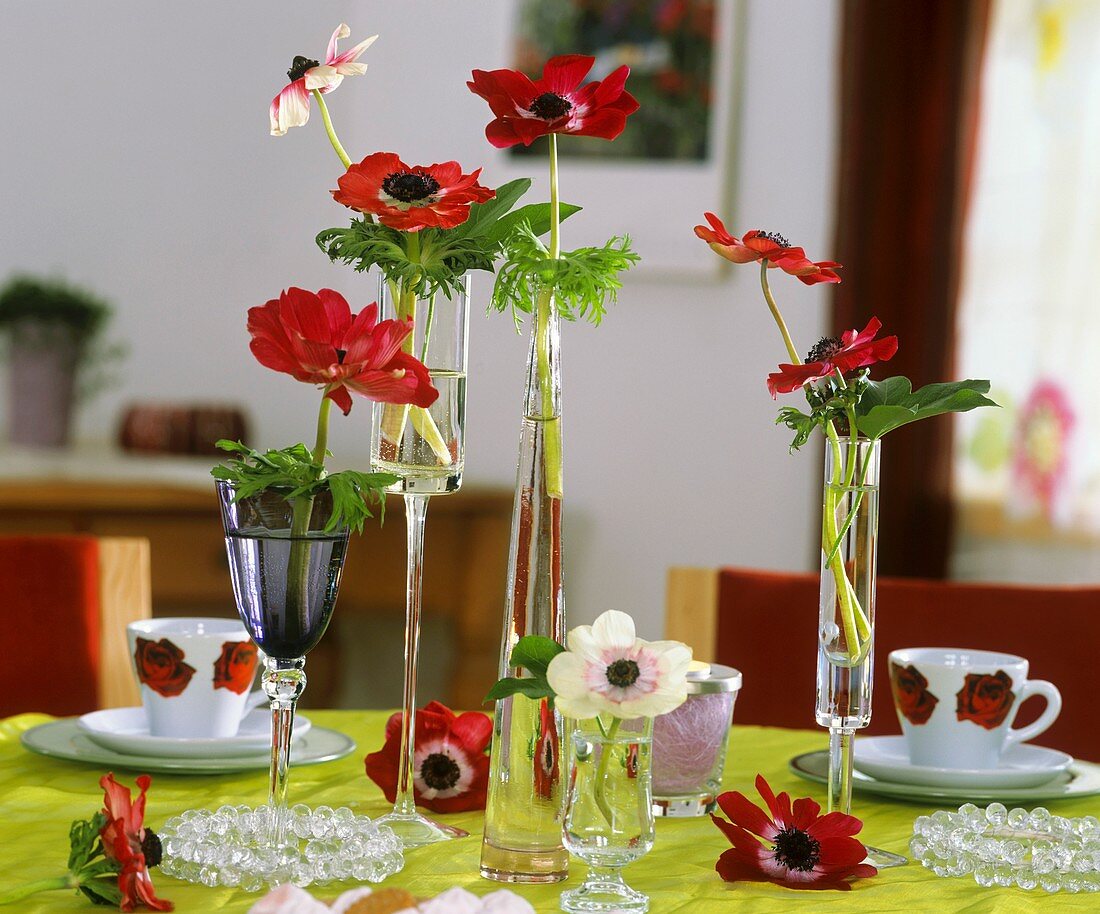 Anemones with Aralia leaves in glasses