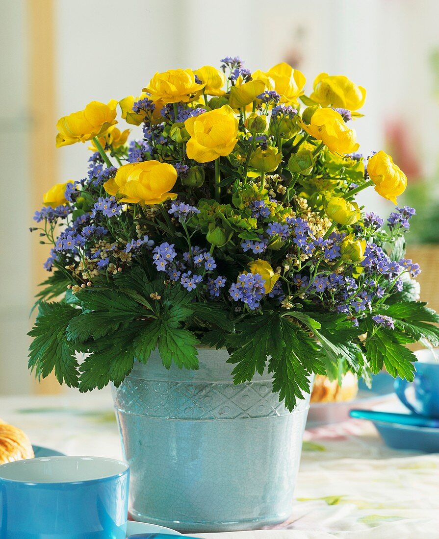 Arrangement of forget-me-nots and globe flowers
