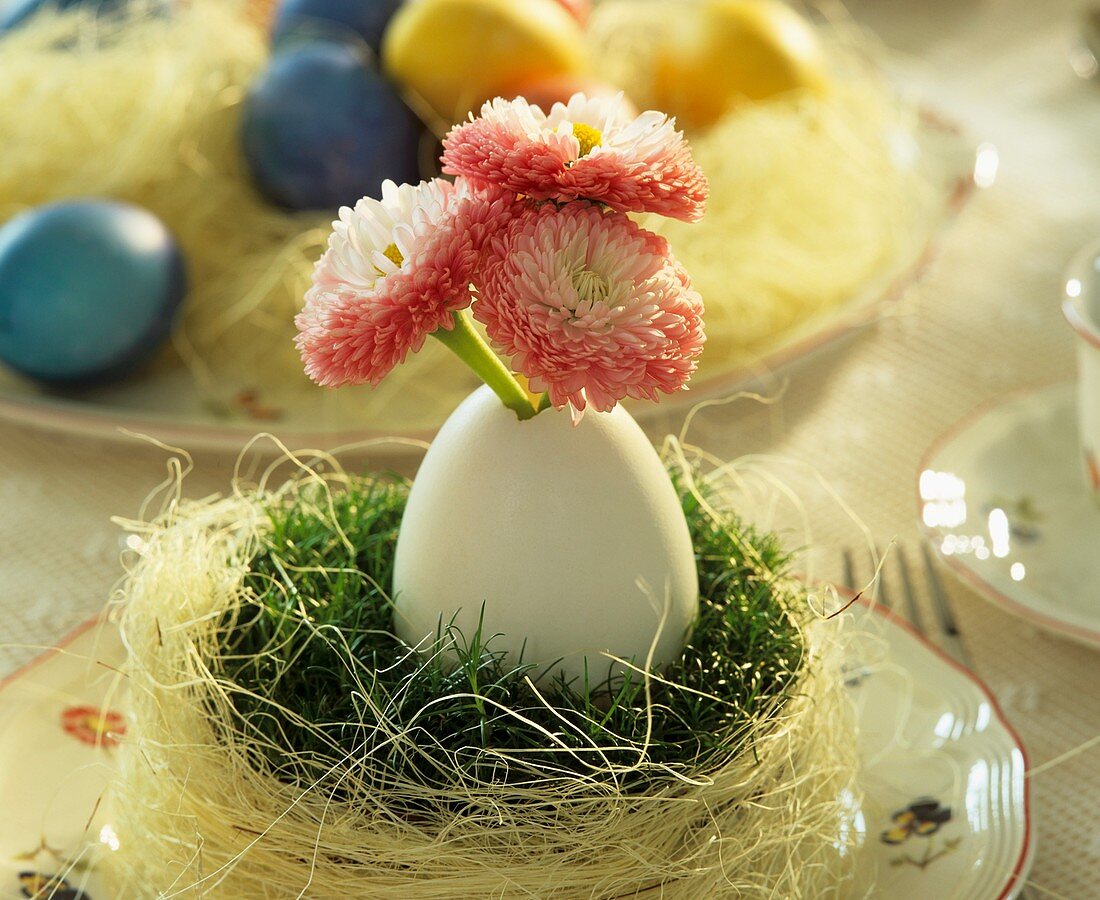 Easter nest with duck egg and daisies