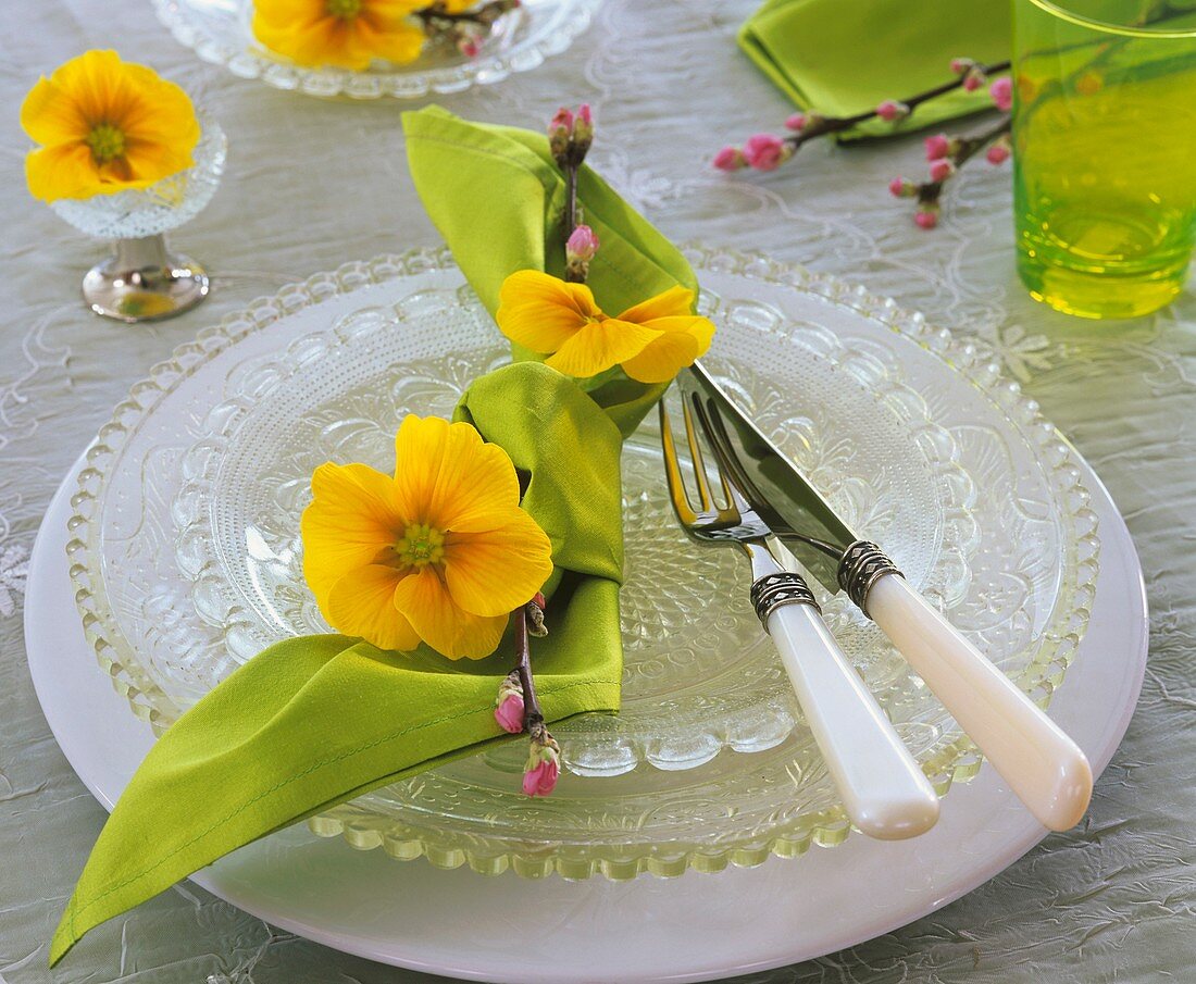 Serviette mit Primeln und Blütenzweig auf Glastellern