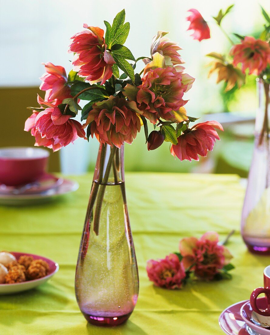 Lenten roses in glass vase on table laid for coffee