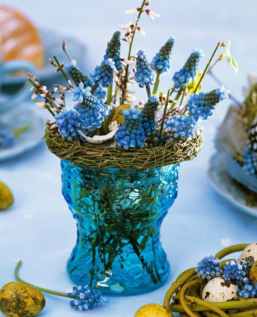 Grape hyacinths with broom twigs and quail's eggs