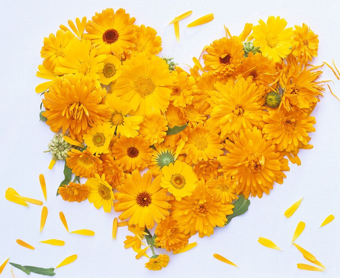 Heart of marigolds