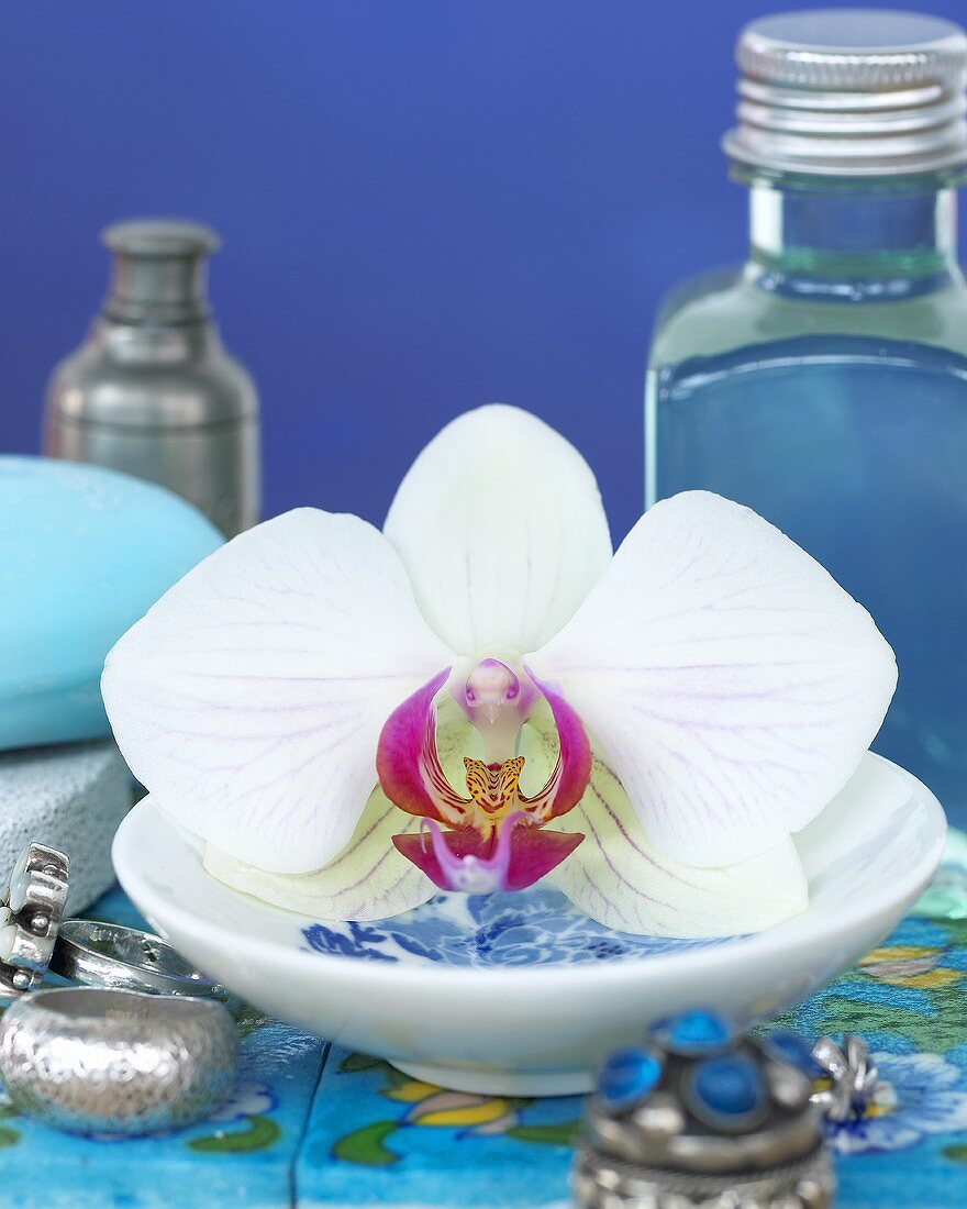 weiße Orchidee in Schale, Schmuck und Schönheitsprodukte