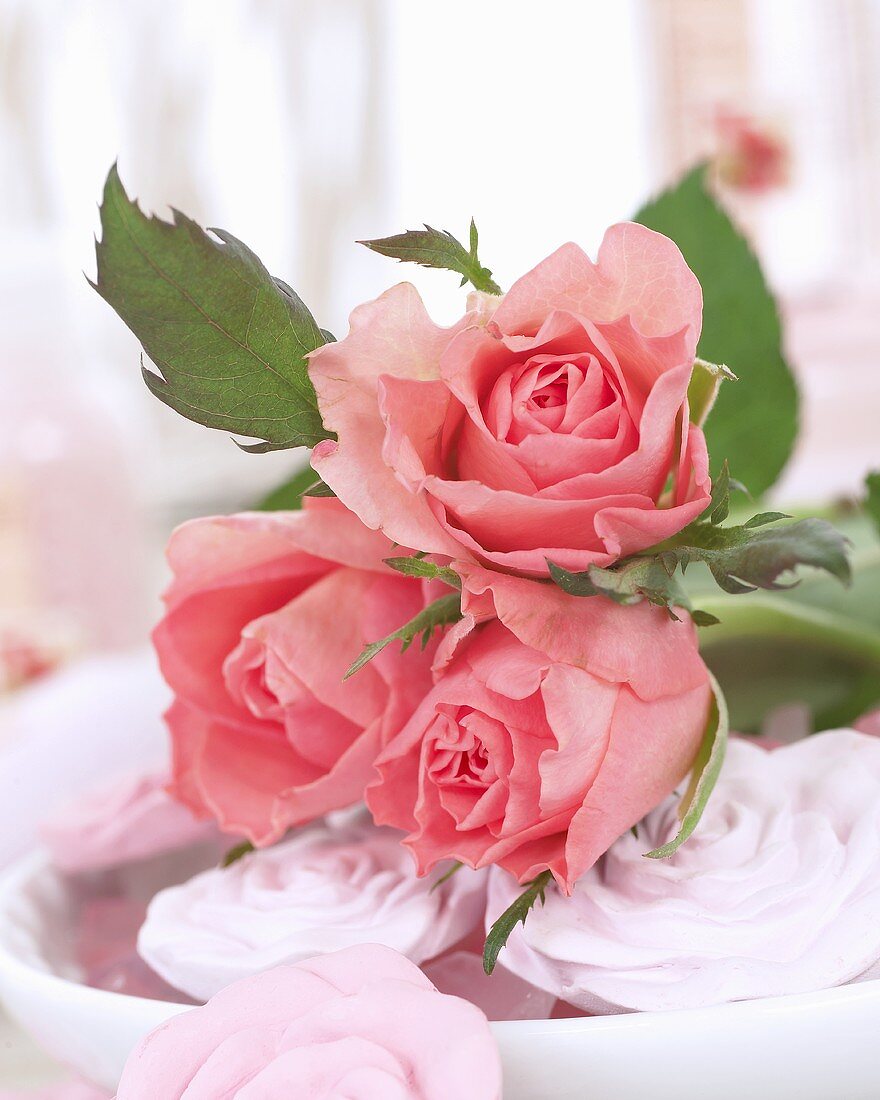 Pinkfarbene Rosen und Rosenseifen