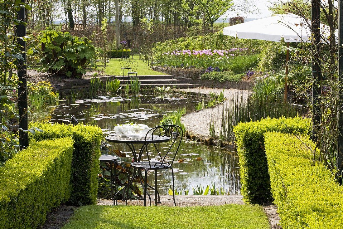 Garden with pond