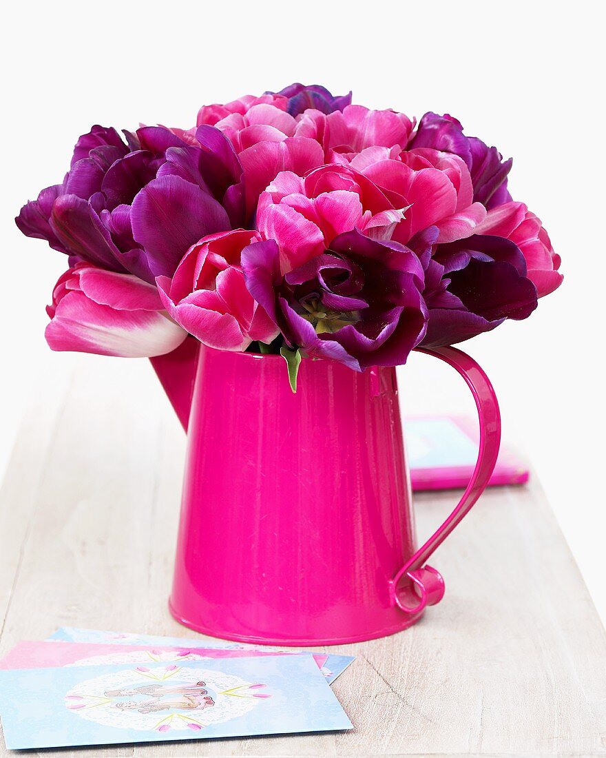 Tulips 'Negrita' and 'Innuendo' in pink watering can