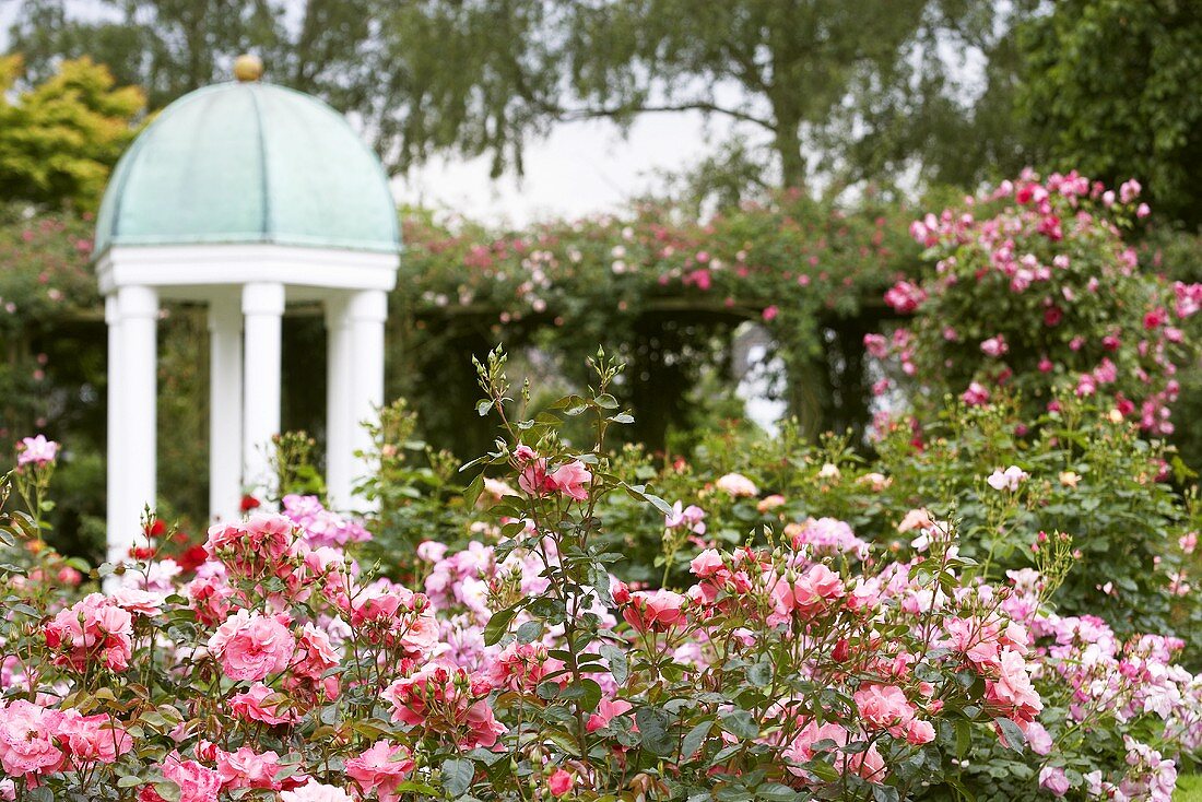 Rose garden with pavilion