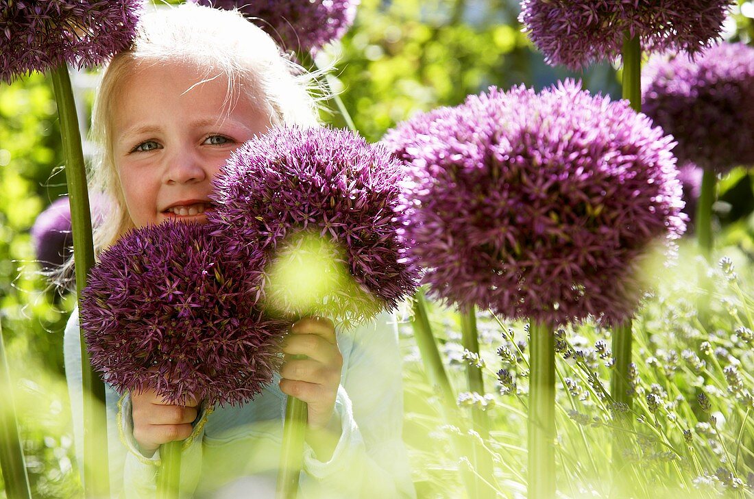 Girl in garden with ornamental onions ('Pinball Wizard')