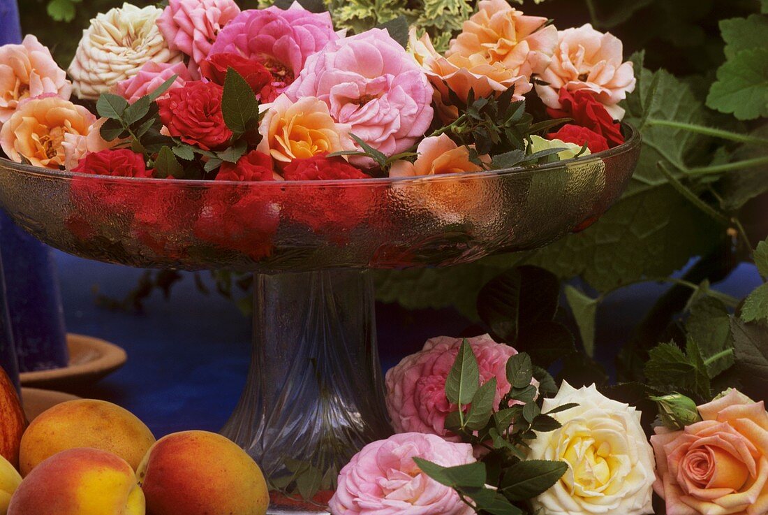 Roses in a glass bowl