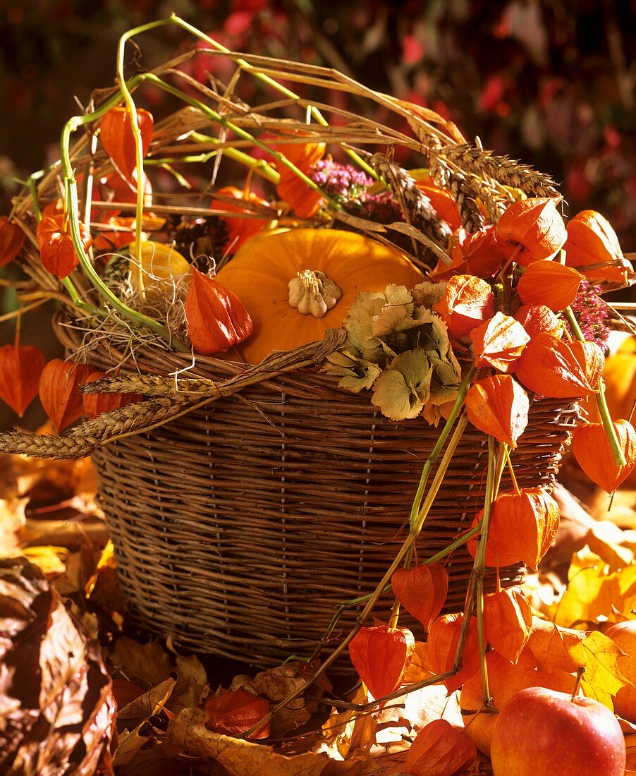 Basket with pumpkin, Chinese lanterns and cereal ears