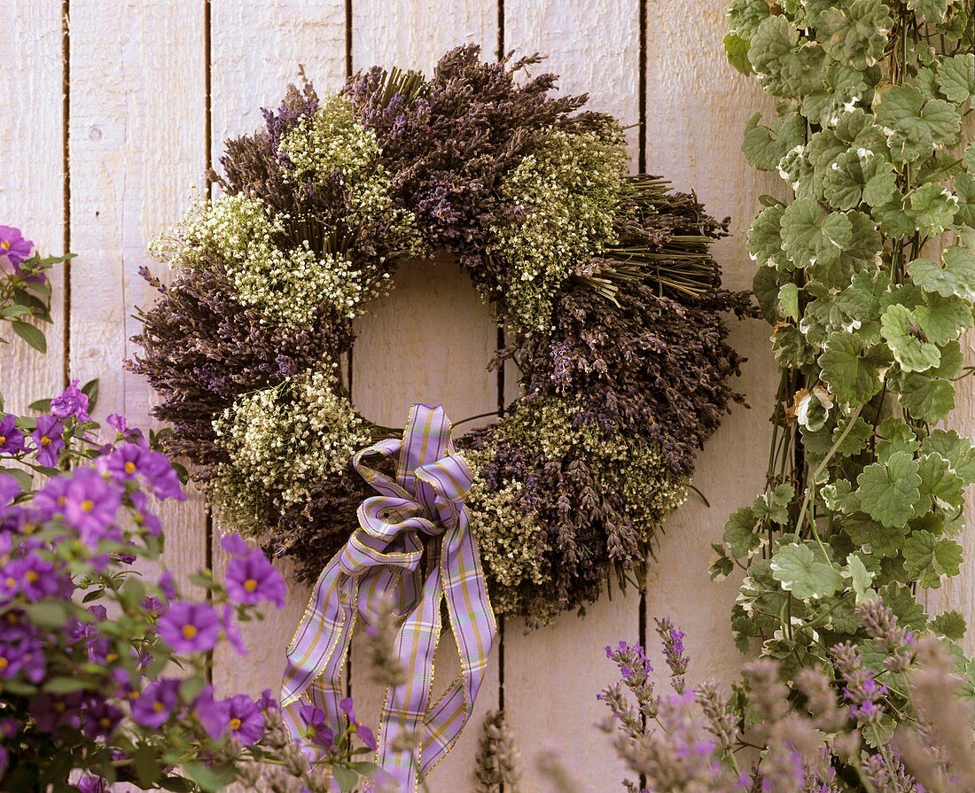 Wreath of lavender and Gypsophila