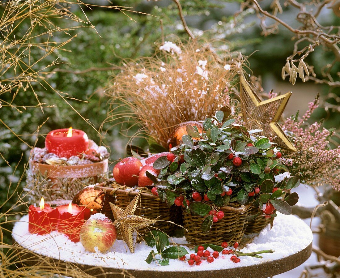 Christmas still life in the open air