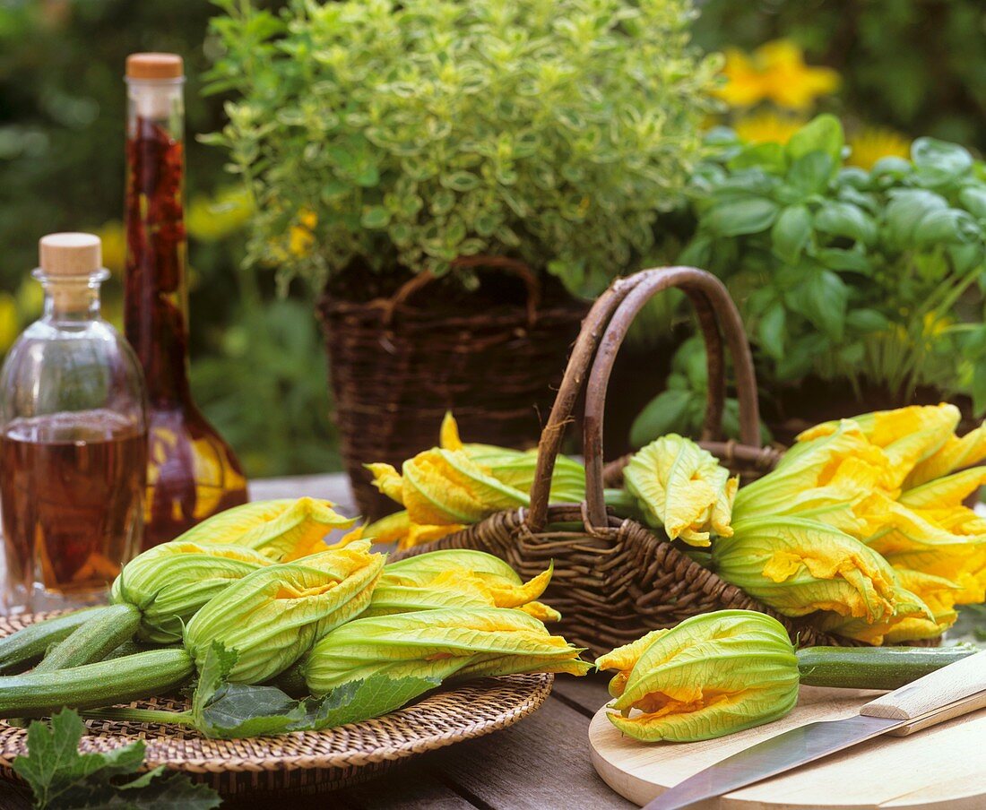 Freshly picked courgette flowers in basket