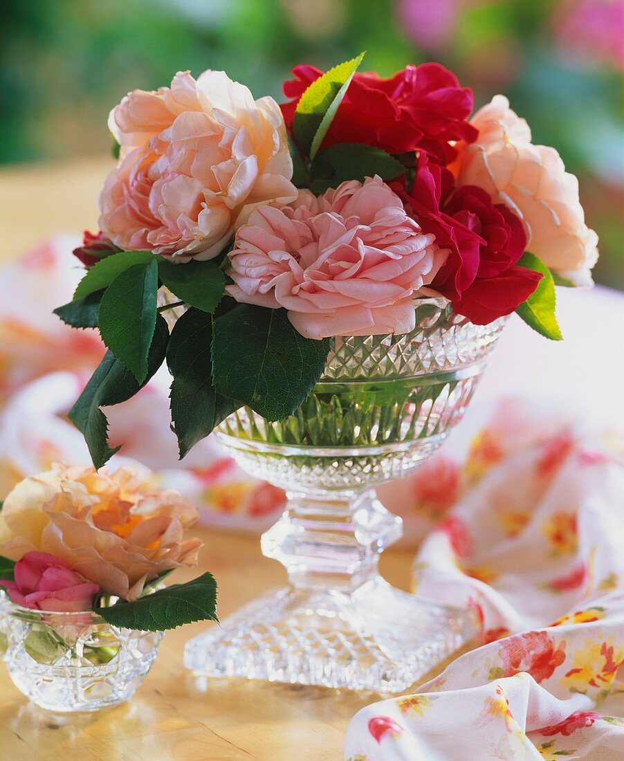 Roses in crystal bowl