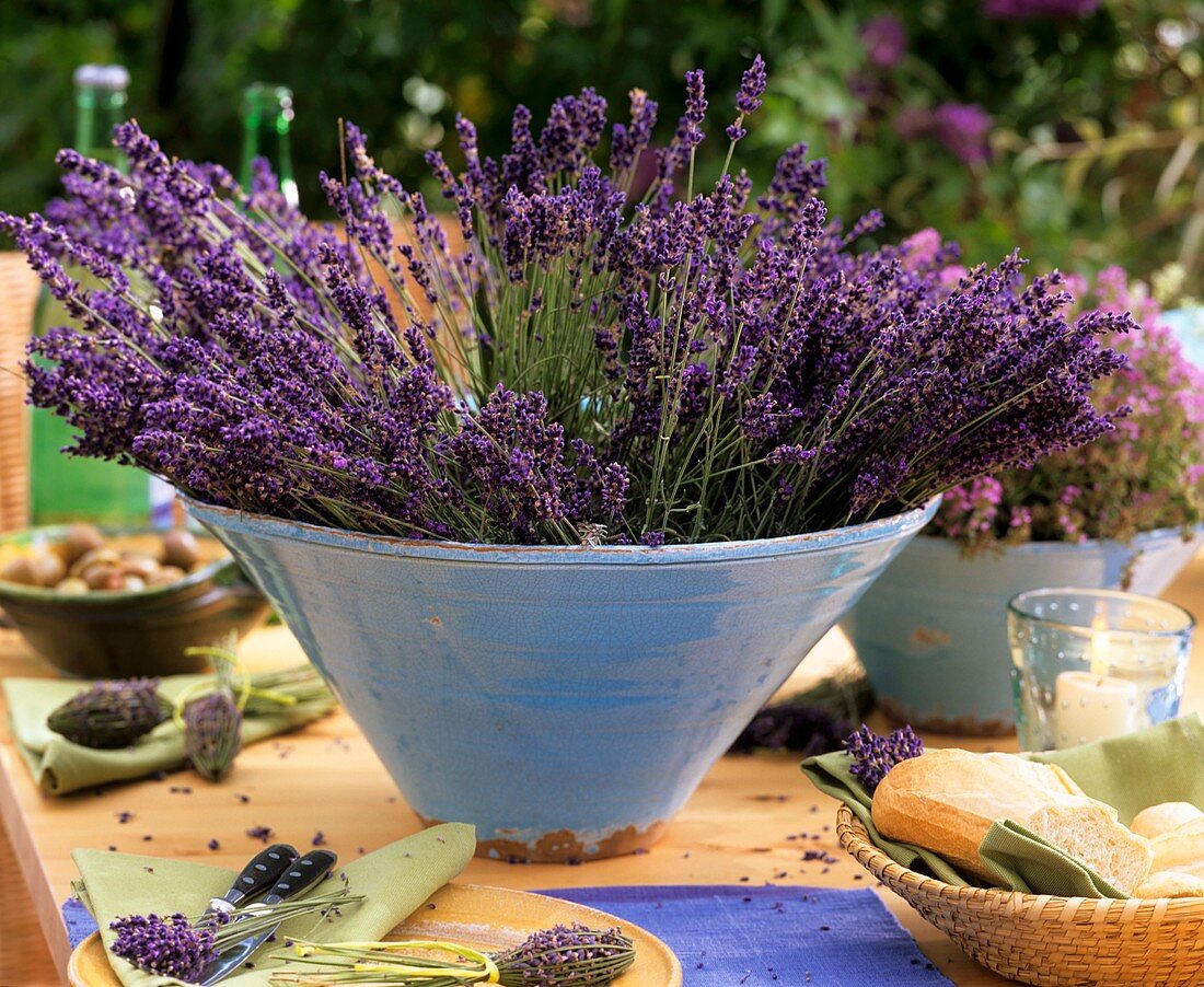 Freshly cut lavender in blue bowl