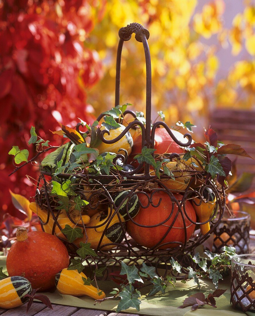 Herbstlich dekorierter Metallkorb mit Kürbissen und Efeu